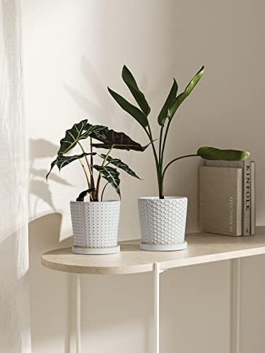 LE TAUCI reljefne keramičke saksije za biljke, Set od 2, 5,4 inča saksije za sobne biljke, Sadilice sa drenažnom rupom i tanjirom, za sočne Orhidejne zmijske biljke kaktus, reaktivna glazura Bijela