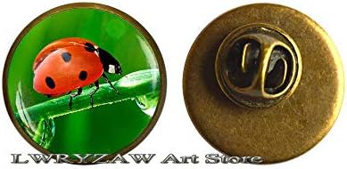 Dama Bug Brooch, PIN Bug, Nakit za insekt, Lady Bugs Art Poklon, Art Insect PIN, Insect Brooch, M88