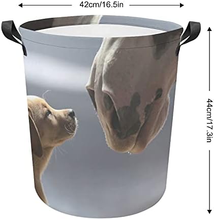 Foduoduo korpa za pranje rublja slatka psa i konj personalizirani rublje rublje s ručicama Sklopiva torba za pohranu za prljavu odjeću za spavaću sobu, kupatilo, knjigu za igračku