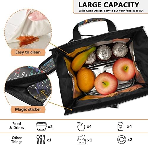 Alaza torba za ručak za žene izolovana, fizičke formule i fenomeni višekratna kutija za ručak sa