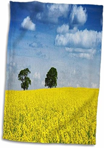 3drose cvjećanski život - žuti seoski polje sa plavim nebom - ručnici