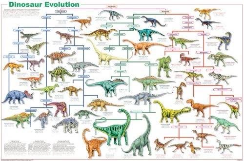 Feenixx Publishing poster za evoluciju dinosaurusa 24x36