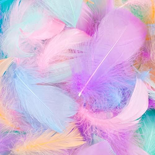 Šarene male guske perje za DIY zanate Vjenčani kućni ukrasi za zabavu 2-4 inča prirodne boje perja