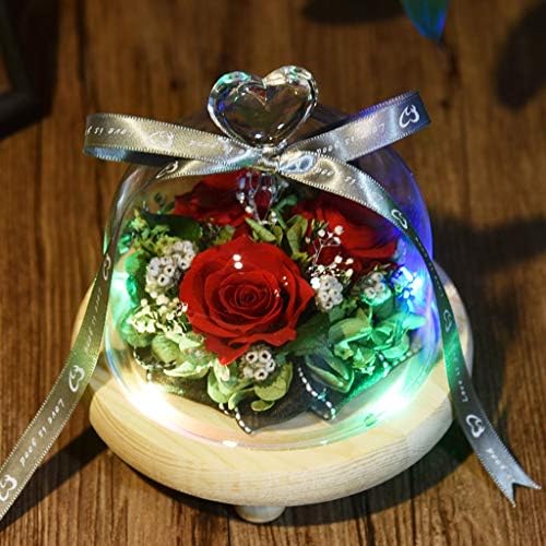 Dbylxmn staklo Valentinovo svjetlo pokloni cvijet ruža ruža Creative LED dekor dan Home Decor Scene Odjeća