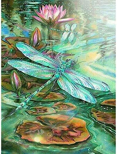 QGHZSCS boja po brojevima Digitalni slikarski cvijet lotos Dragonfly DIY set Art Decoratic Decor A5