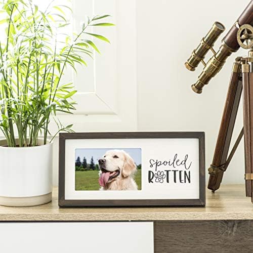 Okviri za kućne ljubimce, 4x6 inčni - premium foto okvir za psa ili mačku - razmaženi truli , 6 x12 inčni tablici