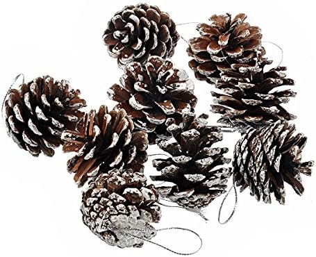 PRETYZOOM rođenje Decor božićna jelka dekorativna prirodna Pinecone pinjoli Božićna dekoracija-9 kom / Set Party Favor Rattan Decor