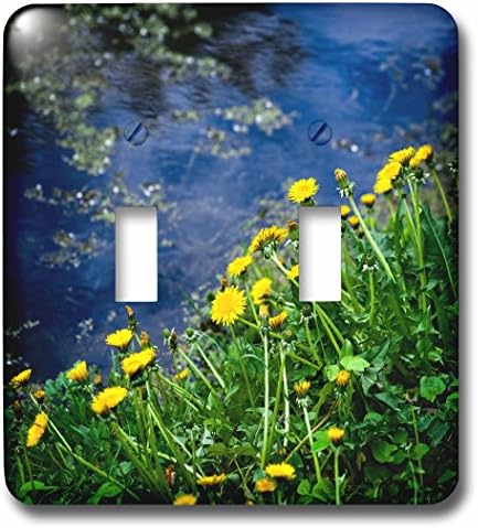 3Droza LSP_273825_2 Žuti maslačak cvijeće, zelena trava po plavom preklopni prekidač vode, pomiješana