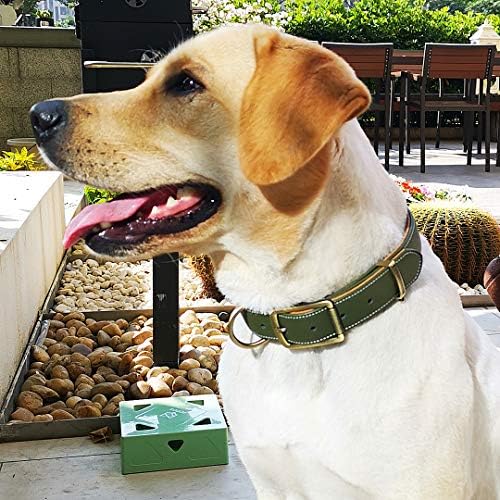 Chede Basic Classic podstavljeni kožni ogrlice za pse, ovratnik za pse za kosu, legura hardverski D-prsten za male srednje velike i ekstra velike pse