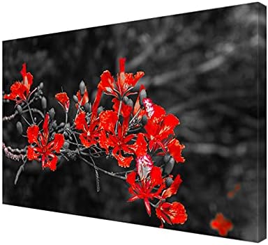 999store crna i crvena cvijet platno slika ULP36540390