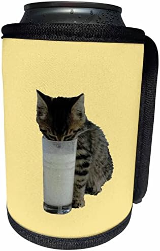 3Droza Burglar mačja krađa mlijeko iz stakla - može li hladnije boce