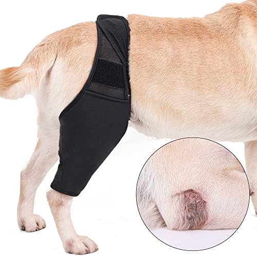 Yealay proteza za potporu za pse prozračna zaštita za noge za prednje zadnje noge podesiva profesionalna proteza za koljeno za kućne ljubimce dodatna podrška & spriječiti ozljede