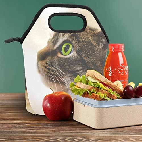 GUEROTKR torba za ručak za muškarce, izolovana kutija za ručak, kutija za ručak za odrasle, mačka