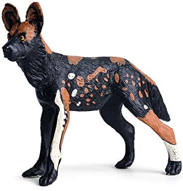 Rich boxer afrički divlji pas figurica realistična plastika Lycaon pictus ptica figurica za prikupljanje