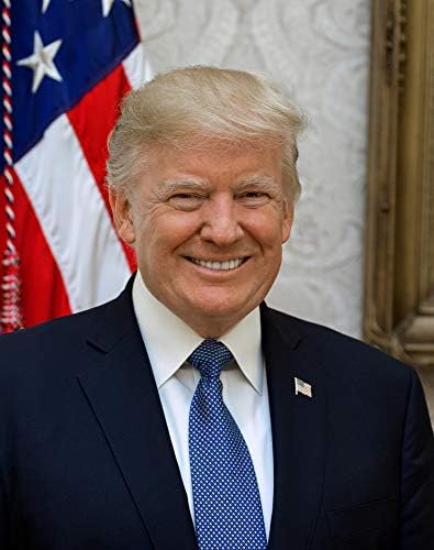 Fotografija Donalda J. Trumpa - istorijska umjetnička djela iz 2017 . godine-portret američkog predsjednika - - Matte