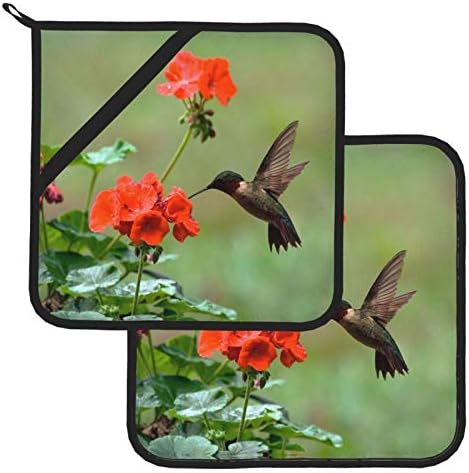 Držači lončasta 2, hummingbirds ptica proljeće ljeto crveno cvijeće cvjetao je toplina otporna na toplinu kuhinja bez klizanja tiskana kuhanje pečenje mikrovalne peče