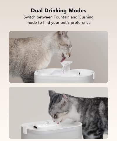 PETLIBRO automatske hranilice za mačke sa prilagođenim rasporedom hranjenja, interaktivni diktafon + Petlibro