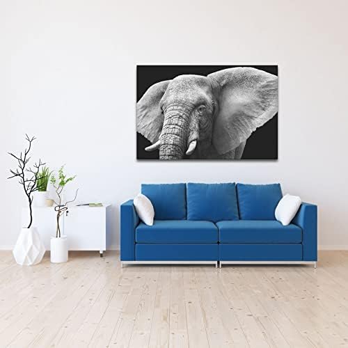 Akrilna moderna zidna Umjetnost Elephant-životinje u seriji Wild Black And White-Moderni dizajn enterijera-akrilna
