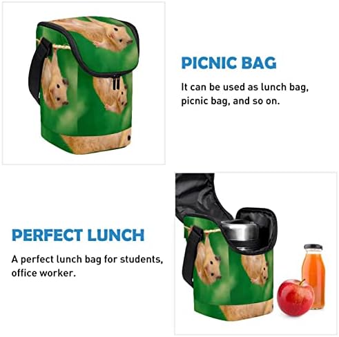 Guerotkr torba za ručak za žene, kutija za ručak za muškarce,ženska kutija za ručak, životinjski zeleni uzorak