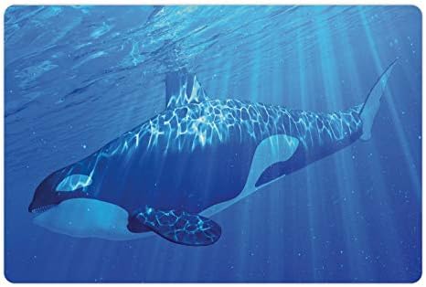 Lunarable Orca prostirka za kućne ljubimce za hranu i vodu, fascinantna Podvodna fotografija kitova ubica koji pliva u blizini površine, neklizajuća gumena prostirka za pse i mačke, 18 X 12 & # 34;, azurno plava i Kobaltno plava