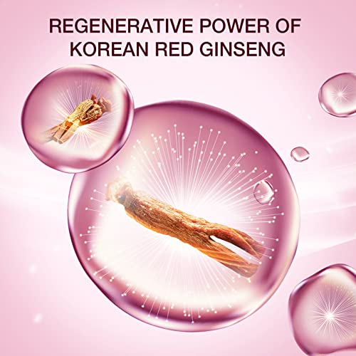 DONGINBI dnevna odbrambena krema, Anti-aging, Anti-Wrinkle & antioksidativna krema za lice, Njega kože Korejskog Crvenog ginsenga-25ml
