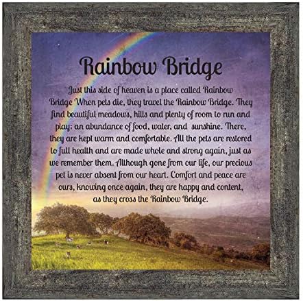 Rainbow Bridge Memorijalni pokloni za kućne ljubimce - Memorijalni pokloni za pse, pokloni za gubitak pasa, pokloni za mačke, poklon simpatije za gubitak ljubimca, Memorijalni okvir za kućne ljubimce, Memorijalni okvir za mačke ili psa, 8707bw